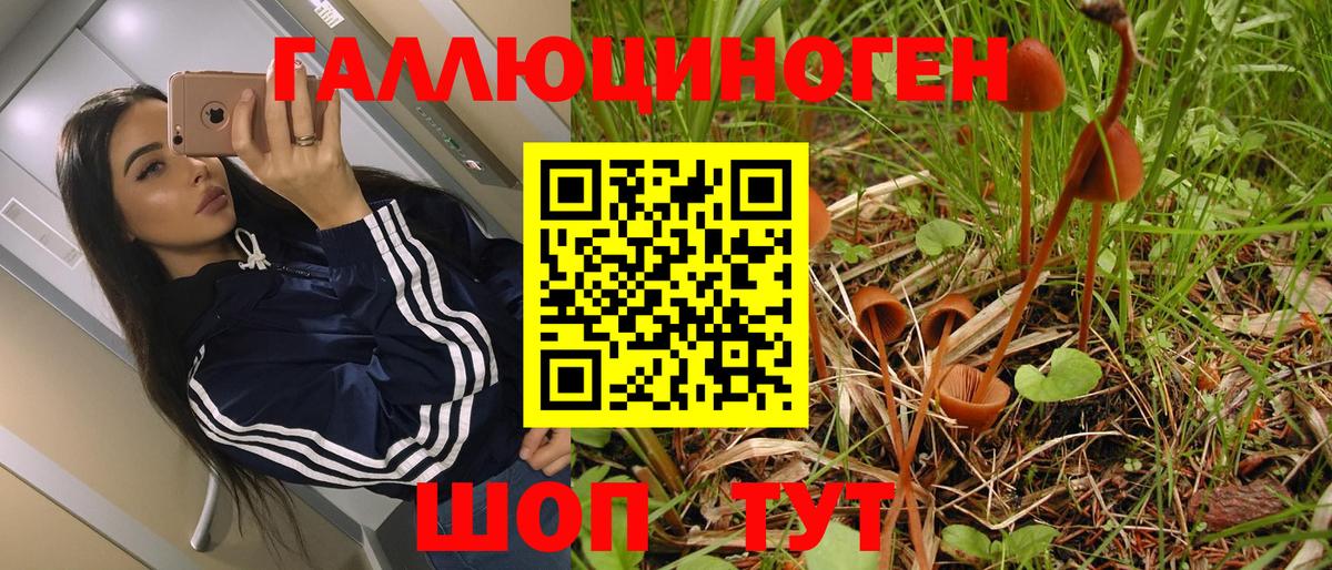 Петровск  наркотики  Вход с VPN  Галлюциногенные грибы ЛСД 